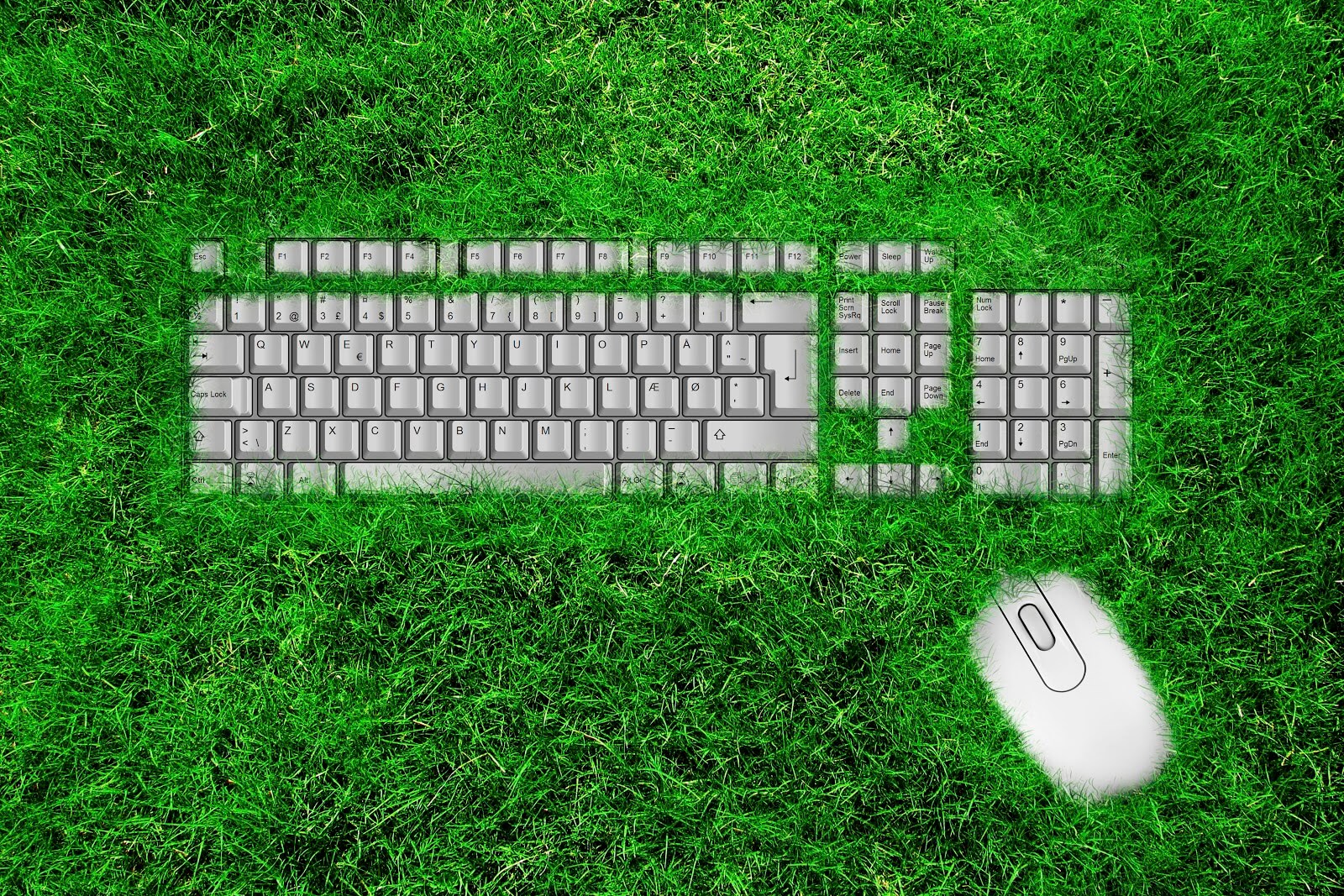 a keyboard with grass covering it